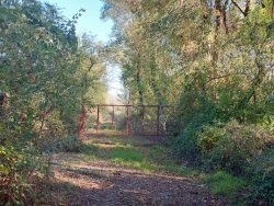 Köyceğiz Toparlar Satılık Arazi 9600 M2