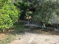 Ortaca Okçular Kiralık Müstakil Ev 2+1 75 M2 | Müstakil | Klima | 1 Banyo | 2 Yatak Odası