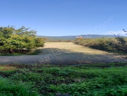 Ula Karabörtlen Satılık Arazi 6000 M2