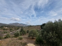 Datça Yazı Satılık Arazi 8400 M2