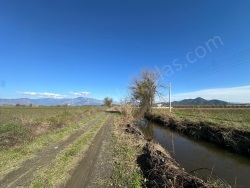 Ortaca Eskiköy Satılık Tarla 1377 M2