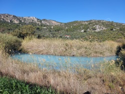 Ortaca Fevziye Satılık Arazi 7350 M2