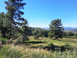 Dalaman Gürköy Satılık Aranan Emlaklar 5000 M2