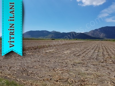 Ortaca Güzelyurt Ta Satılık Arazi Kelepir Verimli