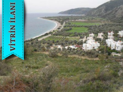 Milas Ta 25 500 M2 Denize Sıfır Turizm Ve Konut İmarlı Satılık Arsa Çökertme