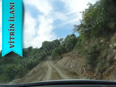 Muğla Datça Yazı Da 15 200 M2 Müstakil Arazi Satılık Tarla