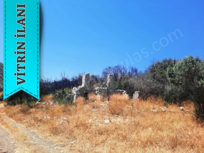 Muğla Dalamanda 42 432 M2 Müstakil Tapulu Satılık Arazi Taşlıburun