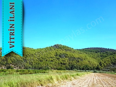 Muğla Ortaca Güzelyurt Ta Satılık Arazi Verimli Kelepir