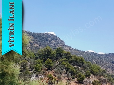 Muğla Dalaman Kapıkargın Da Satılık Arazi Deniz Manzaralı