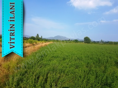 Ortaca Fevziye De Satılık Tarla 3700 M2 Verimli