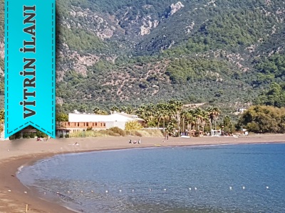 Köyceğiz Ekincikte Satılık Arazi Deniz Manzaralı Zeytinlik