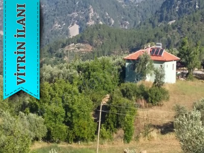 Dalaman Gürleyik Te 9810 M2 Meyve Bahçesi Ve Ev Satılık Müstakil 2+1