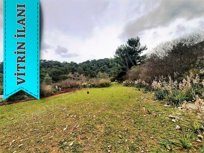 Dalyan Gökbel De Doğa İçinde Satılık Arazi 13 100 M2 Tarla Ortaca