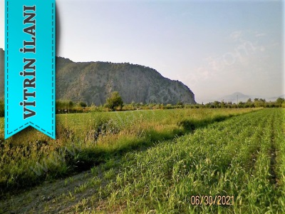 Muğla Ortaca Mergenli De Satılık Arazi 10 000 M2 Verimli
