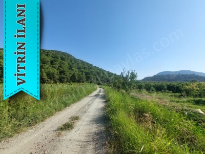 Ortaca Dalyanda 73 500 M² Yatırıma Uygun Nar Bahçesi Satılık Tarla