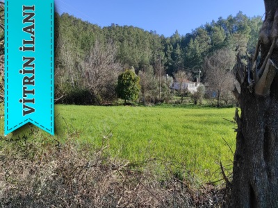 Muğla Ula Karabörtlen De 2956 M2 Müstakil Arazi Satılık Tarla