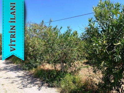 Ortaca Fevziye De Satılık Arsa Köy Yerleşik Alanı İçinde 17 500 M2