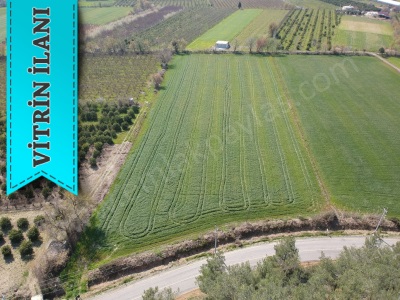 Ortaca Tepearasında 15220 M2 Tarla Satılık Arazi