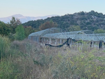 Ortaca Güzelyurt Da 26 200 M2 Müstakil Ve 3 000 Satılık Tarla