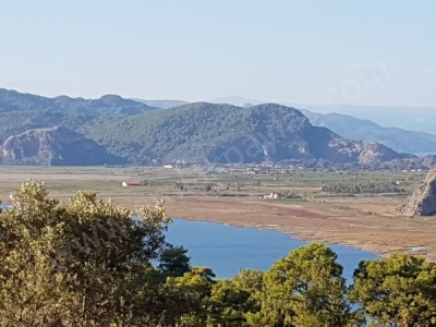 Ortaca Gökbel De 2 500 M2 Müstakil Kelepir Satılık Arazi