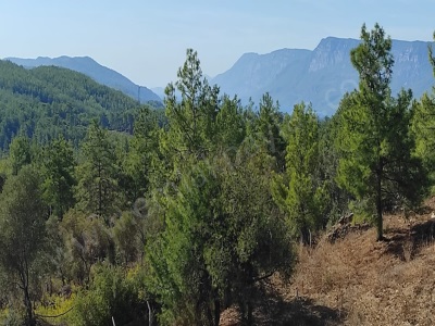 Ula Esentepede 4 200 M2 Deniz Manzaralı Satılık Arazi