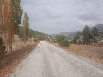 Çameli Cumalanın Da Yola Sıfır Müstakil Kelepir 6 230 M2 Satılık Arazi Veya Takas