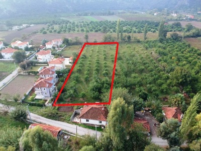 Muğla Ortaca Marmarlıda 4 000 M2 Limon Bahçesi 5 Yıllık Kiralık Arsa Okçular