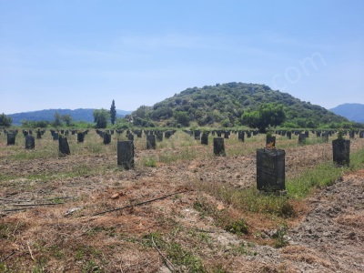 Muğla Güzelyurtta Satılık Tarla 40 000 M2 Avokado Bahçesi Ortaca