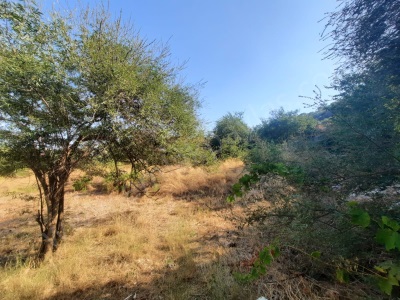 Ortaca Sarıgermede Merkezde 400 M2 Konut İmarlı Satılık Arsa