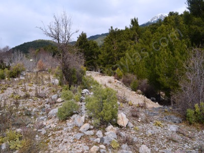 Fethiye Nifte 2 000 M2 Müstakil Satılık Arazi Kelepir