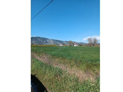 Muğla Ortaca Akıncı Mah Yol Kenarı 10 380 M2 Satılık Tarla