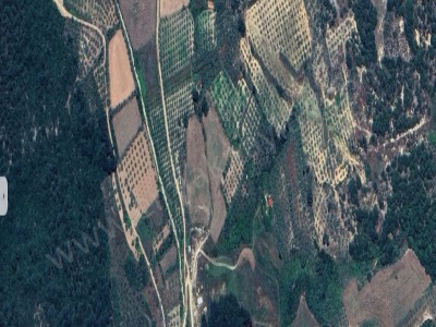 Muğla Menteşe Kafaca Da 6350 M2 Satılık Tarla