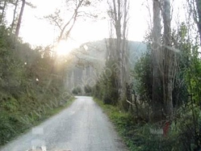 Muğla Ula Portakallık Ta Müstakil Tapulu 1 722 M2 Verimli Satılık Arazi Portakalık