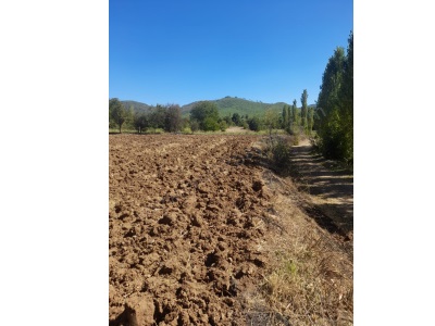 Denizli Beyağaç Yeniçeşmede 2700 M2 Müstakil Satılık Arazi