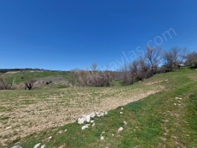 Çameli Cevizlide 650 M2 İmarlı Lar Satılık Arsa