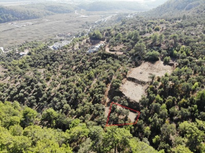 Sarıgerme De 403 M2 Satılık Arsa Ortaca