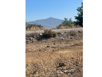 ​Muğla Köyceğiz Çandır Mah 5000 M2 2B Satılık Tarla