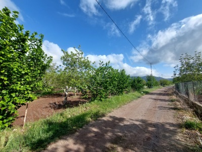 Çameli Kızılyakada 1000 M2 Satılık Arazi Veya Ortacadan 2+1 Daire İle Takas