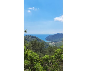 Muğla Köyceğiz Ekincikte Deniz Manzaralı 590M2 Satılık Arazi