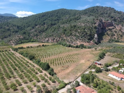 Köyceğiz Çandırda Müstakil Tapulu 33 800 M2 Satılık Tarla