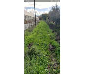 Muğla Köyceğiz Mahallesinde 11 450 M2 Satılık Tarla Köyü