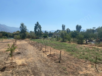 Köyceğiz Çandır Dalyan Kanalına Sıfır 3210 M2 Satılık Arazi