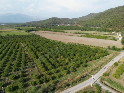 Muğla Ortaca Tepearası De 23 000 M² Müstakil Satılık Tarla