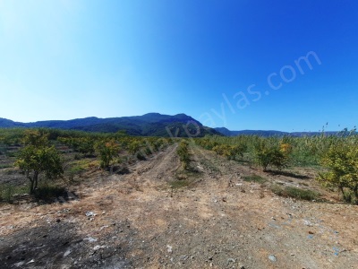 Dalyanda 26 200 M2 Köy Merasına Sıfır Kelepir Satılık Arazi Ortaca