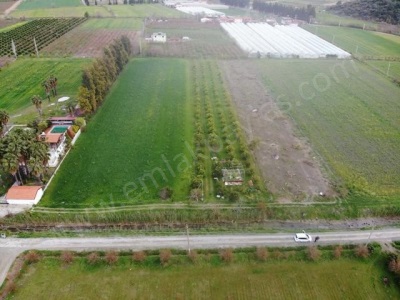 Muğla Dalyanda Göle Yakın Satılık Tarla 4100M2 Ortaca Eskiköy