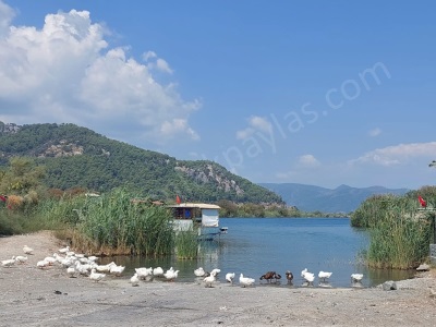 Muğla Ortaca Dalyanda Kanala Yakın 7 353 M2 Müstakil Satılık Arazi