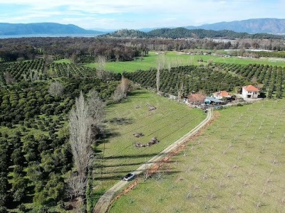 Köyceğiz Kavakarasında Satılık Arsa 80 M2 İnşaat Ruhsatı Hazır 1 200 İmarlı