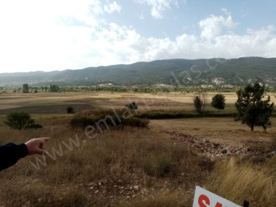 Denizli Çameli Belevi Mahallesinde 2603 M2 Satılık Tarla