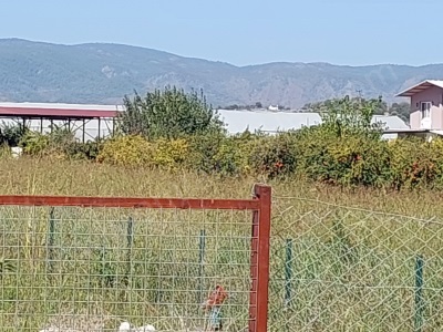 Dalyan Eskiköy Çiftlik Yolu Üzerinde Arsa Ve 2+1 Konteyner Ev Satılık Arazi Ortaca