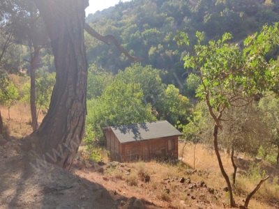 Çanakkale Ayvacık Adatepe 325 M2 De 1+1 Tiny Olan Müstakil Satılık Arazi